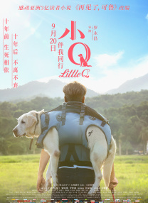 大牛论坛新版网站官网